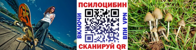 Галлюциногенные грибы Psilocybe  Безенчук 